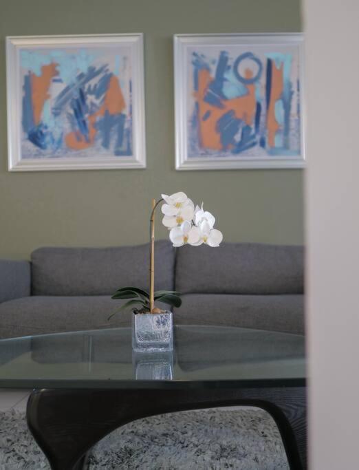 Urban Executive Stay San José Esterno foto